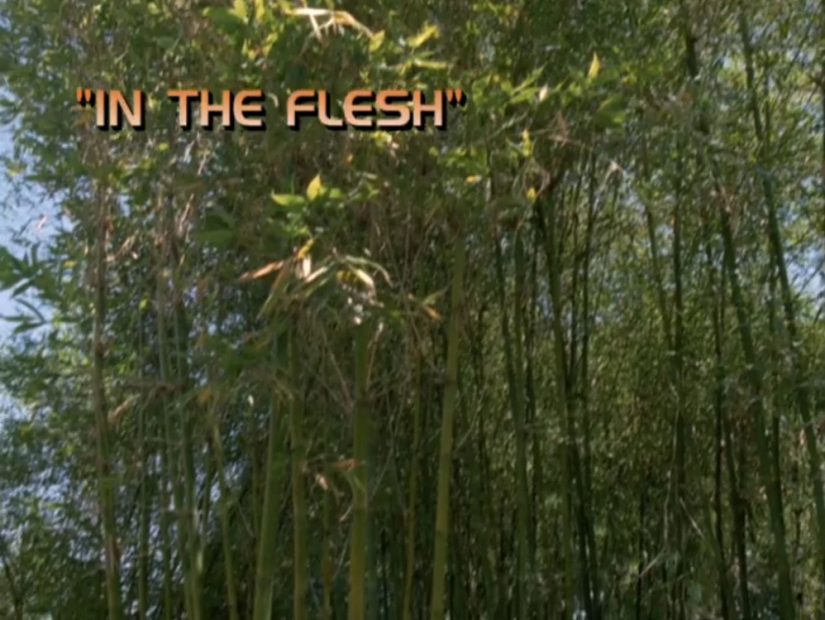 Star Trek: Voyager – Season 5: “In The Flesh”